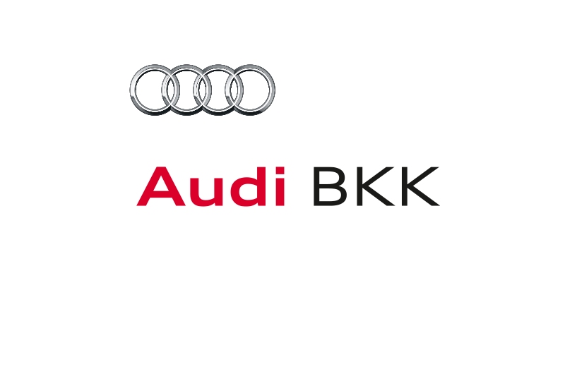 Kostenübernahme für Osteopathie bei Audi BKK